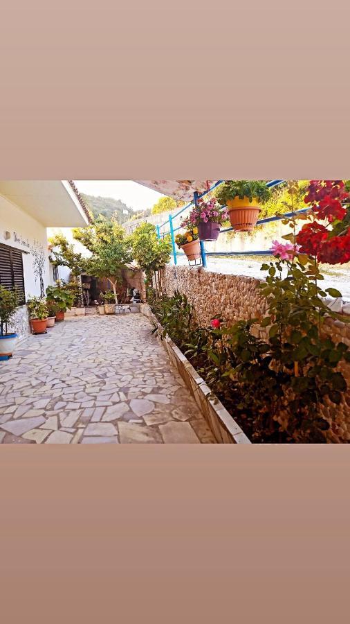 Olive Tree Villa Лигия Екстериор снимка