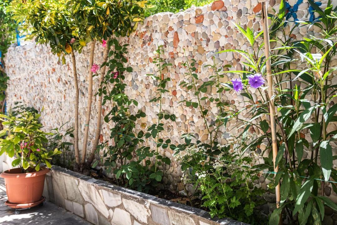 Olive Tree Villa Лигия Екстериор снимка