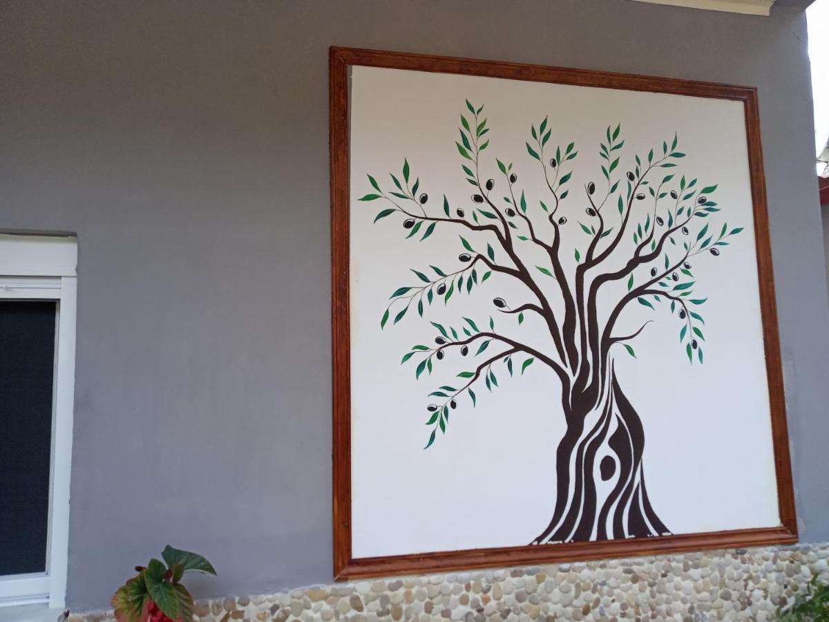 Olive Tree Villa Лигия Екстериор снимка